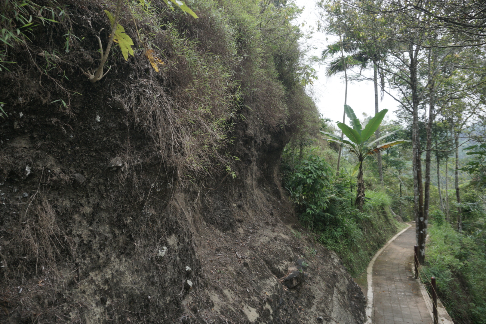 Puncak Widosari